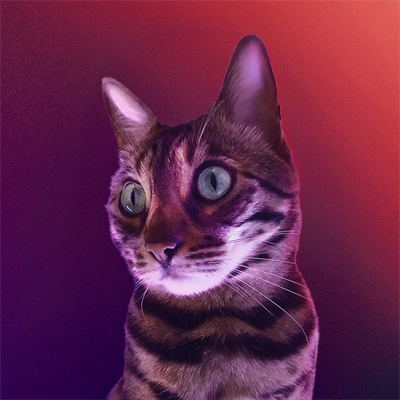 Randy - Chief Meow Officer at FoxTrak